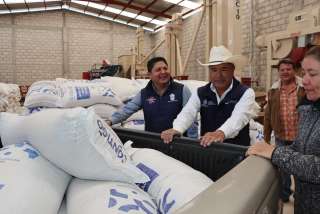 Miguel Martínez encabeza la entrega de maíz a 150 productores de Pueblo Nuevo y Mintehé