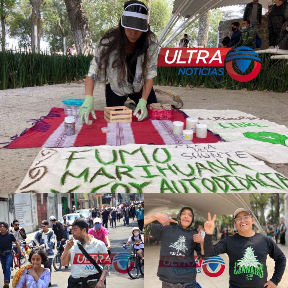 Piden alto a la discriminación y apertura de uso lúdico de la marihuana en Toluca