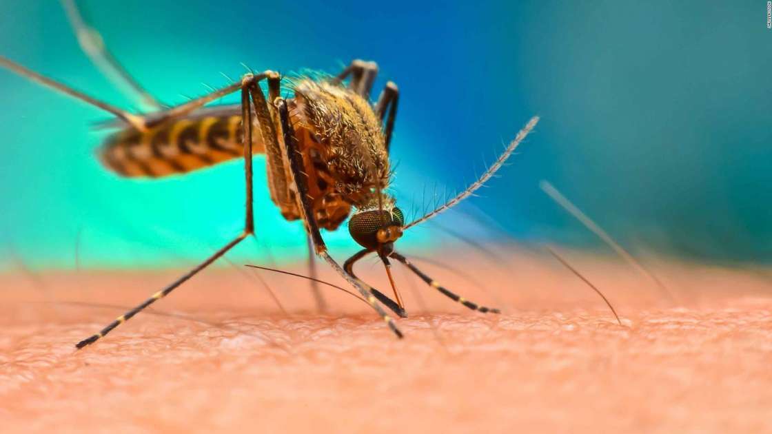 Acumula Hidalgo 20 casos de dengue