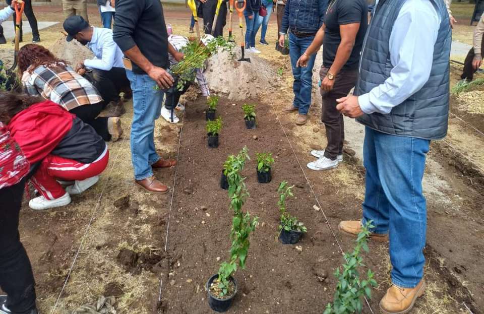 #Municipios | Promueven prácticas ambientales en escuelas de #Jiquipilco con creación de jardines polinizadores