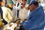 Programa de esterilizaciones caninas y felinas puede incluir a ejemplares sin propietario