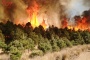 #Estatal | #Edomex emplea Torres de Vigilancia para detectar incendios forestales